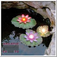LED Water Lily / Lotus with Magic Colour Change