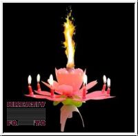 GeburtstagsKerzen Fontäne 