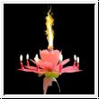 Birthday Candle Fountain "The Party Blockbuster 2014"